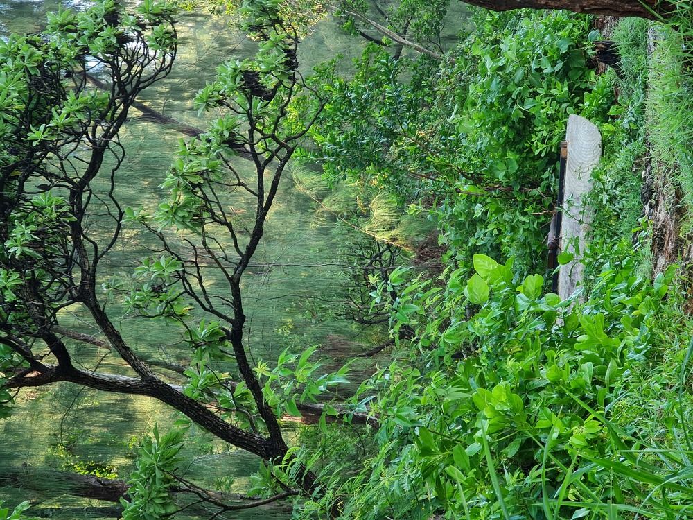 Фотография автора Nathlie Palmer