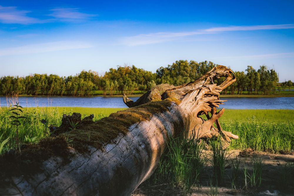 Photograph by Руслан Абдрашитов