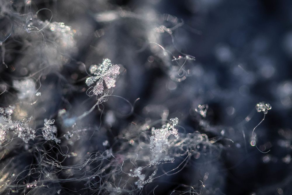 Photograph by Olga Vasina