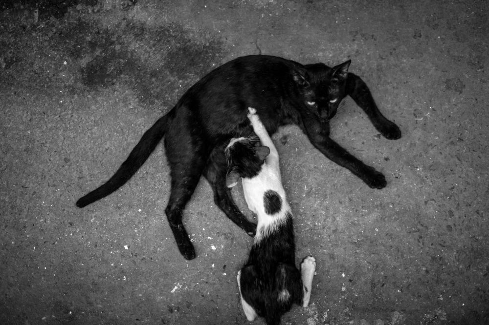 Photograph by Shikhar Saini