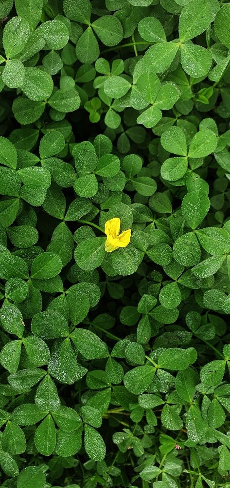 Photograph by Shikhar Saini