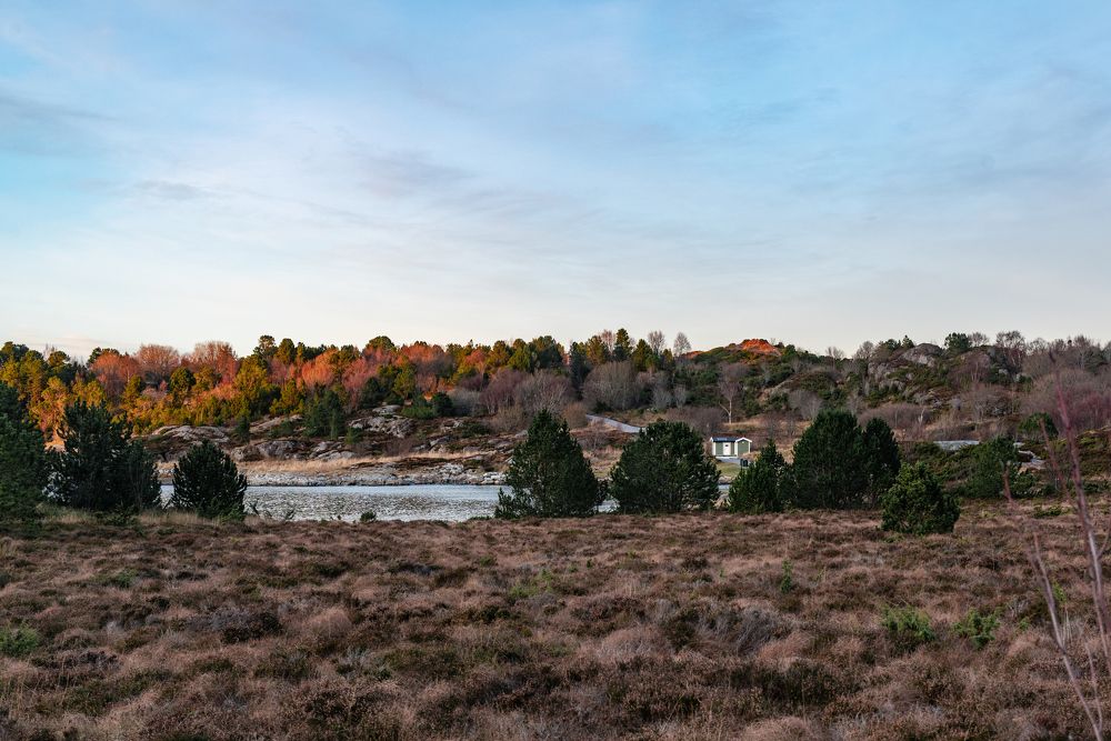 Photograph by Любовь Белявцева