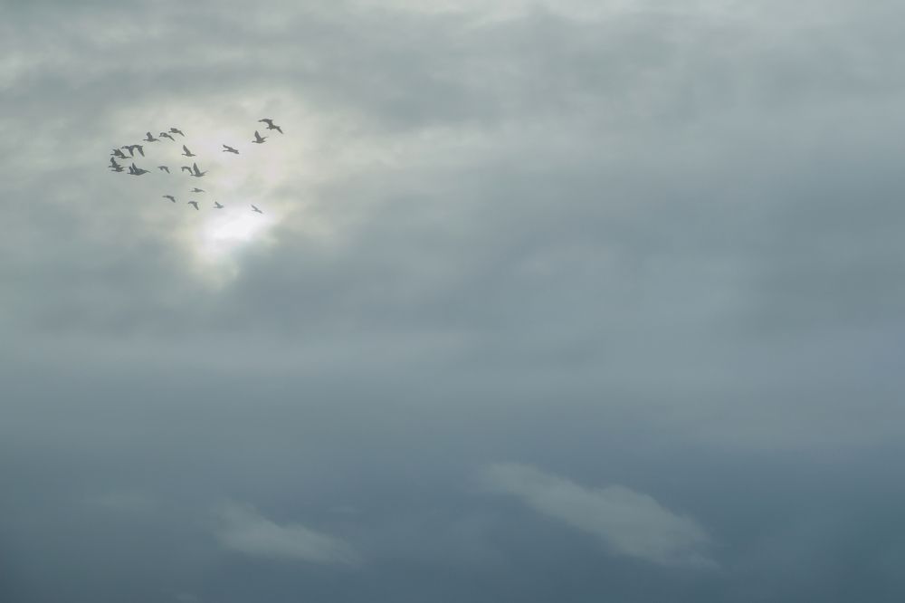 War Cemetery on the island Texel