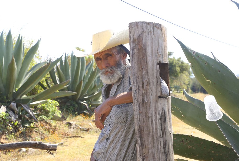 Photograph by Lazaro Alejandre Gutierrez