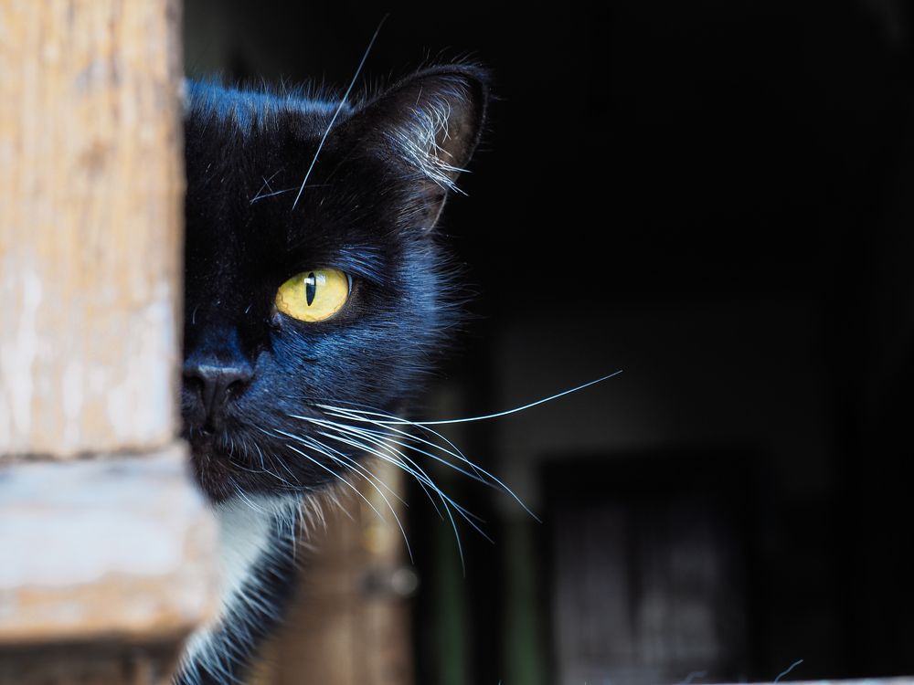 Photograph by Сергей Гаврилов