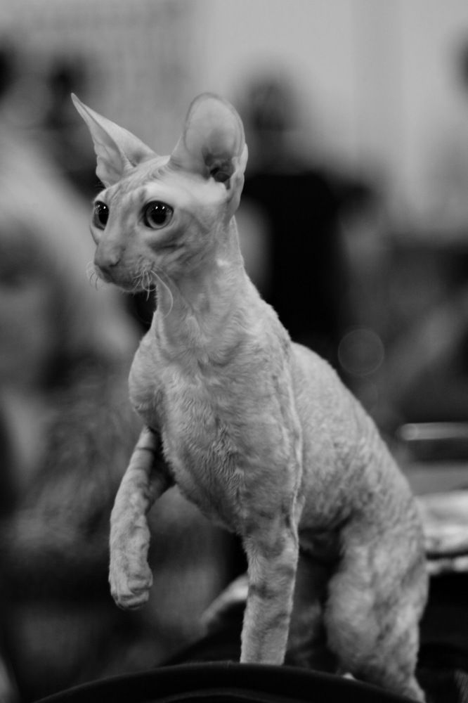 Photograph by Константин Лагоденко