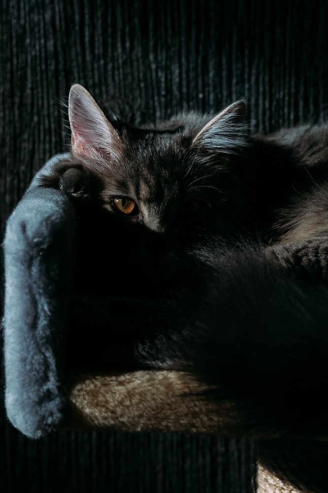 Photograph by Антон Кит