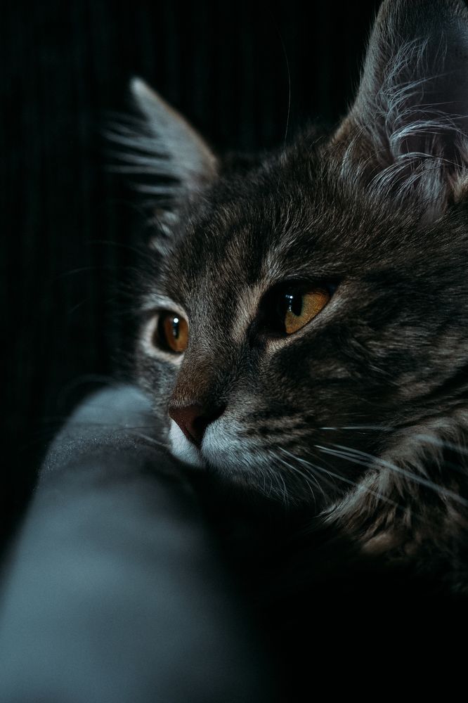 Photograph by Антон Кит