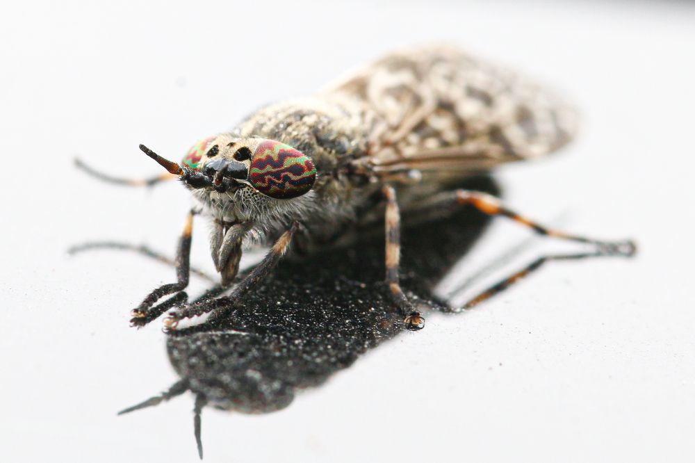 Photograph by Тина