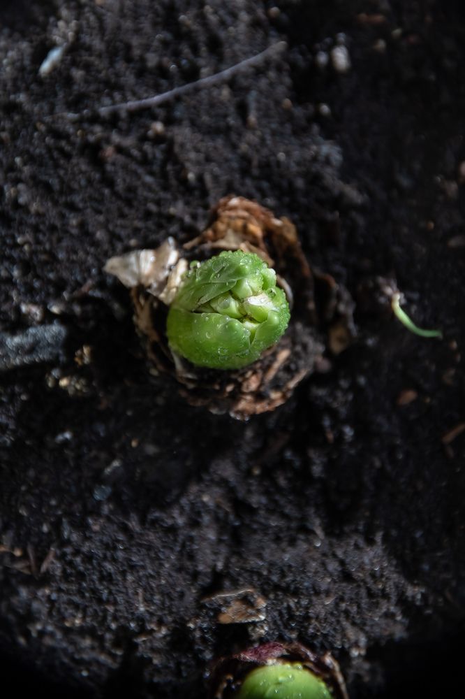 Photograph by Кадырова Анастасия