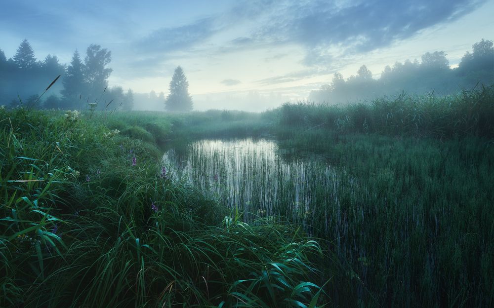 Photograph by Антон Кононов