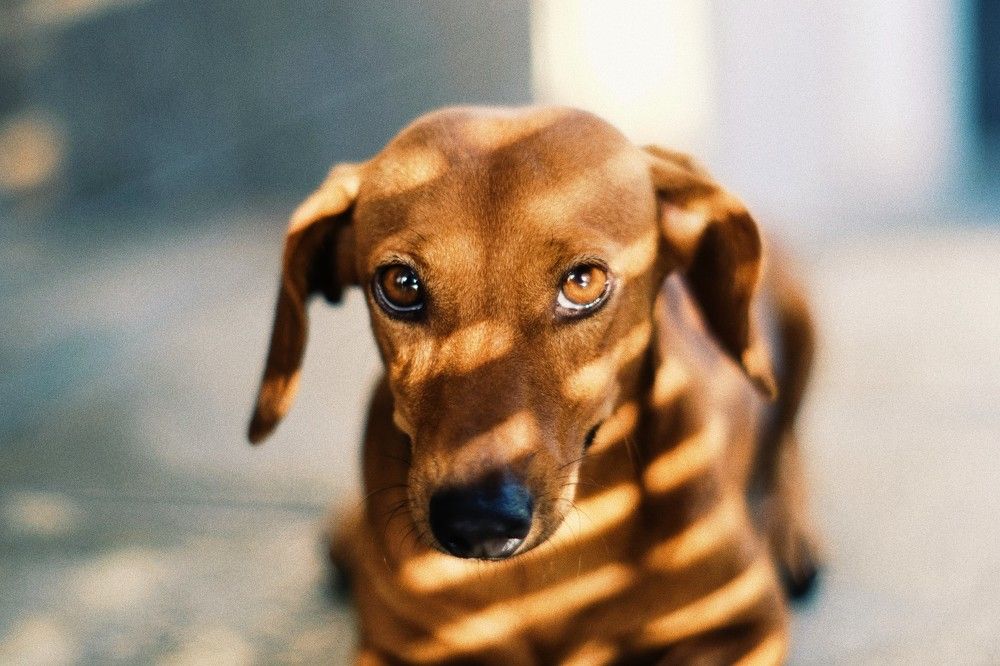 Photograph by Yashwin Mordecai