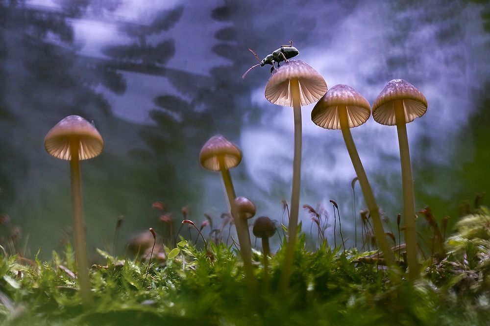 Я люблю гулять по крышам