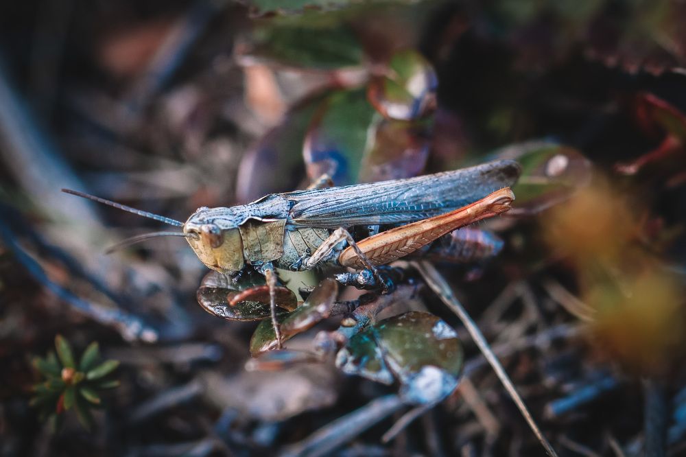 Photograph by Валентина Предеина