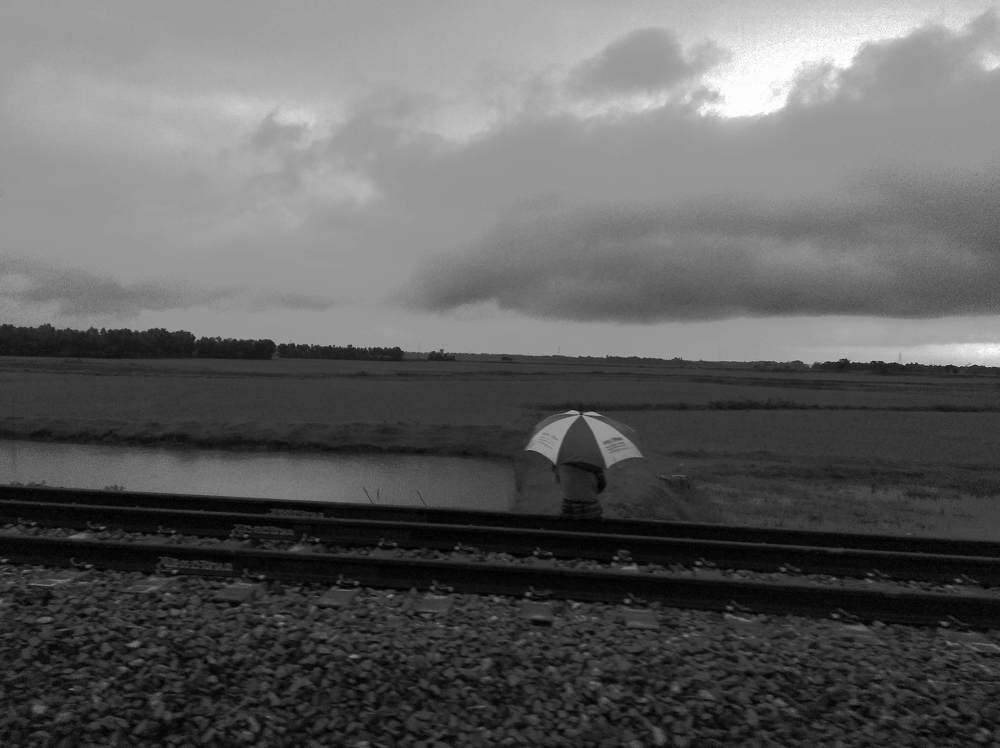 Photo #5746804