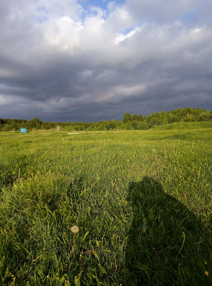 Photograph by Елена Аверьянова