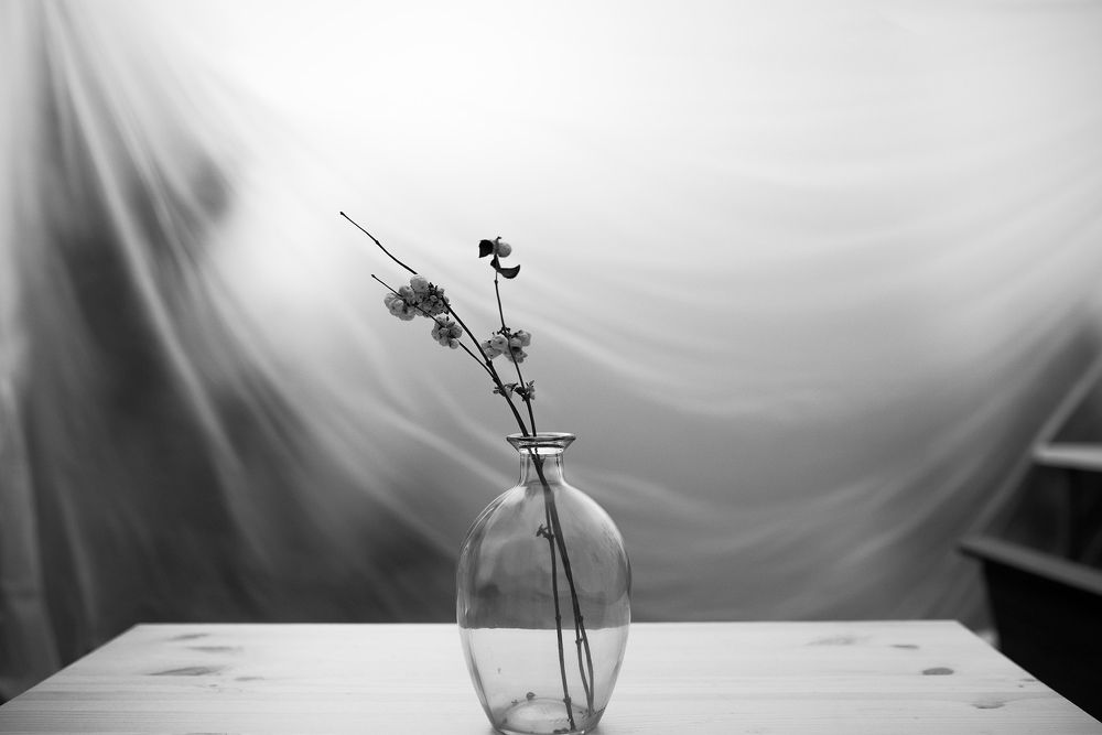 Photograph by Алёна Таланова