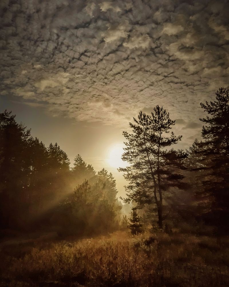 Photograph by Сергей Колос