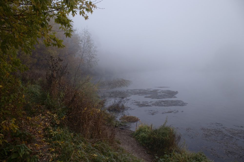 Фотография автора Веста Ягужинская