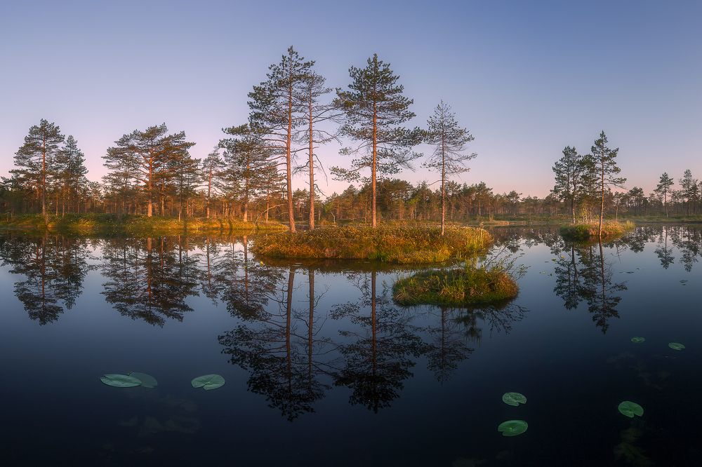 Photograph by Антон Кононов