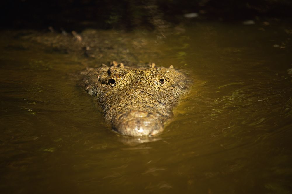 Photograph by Наталия Деркач