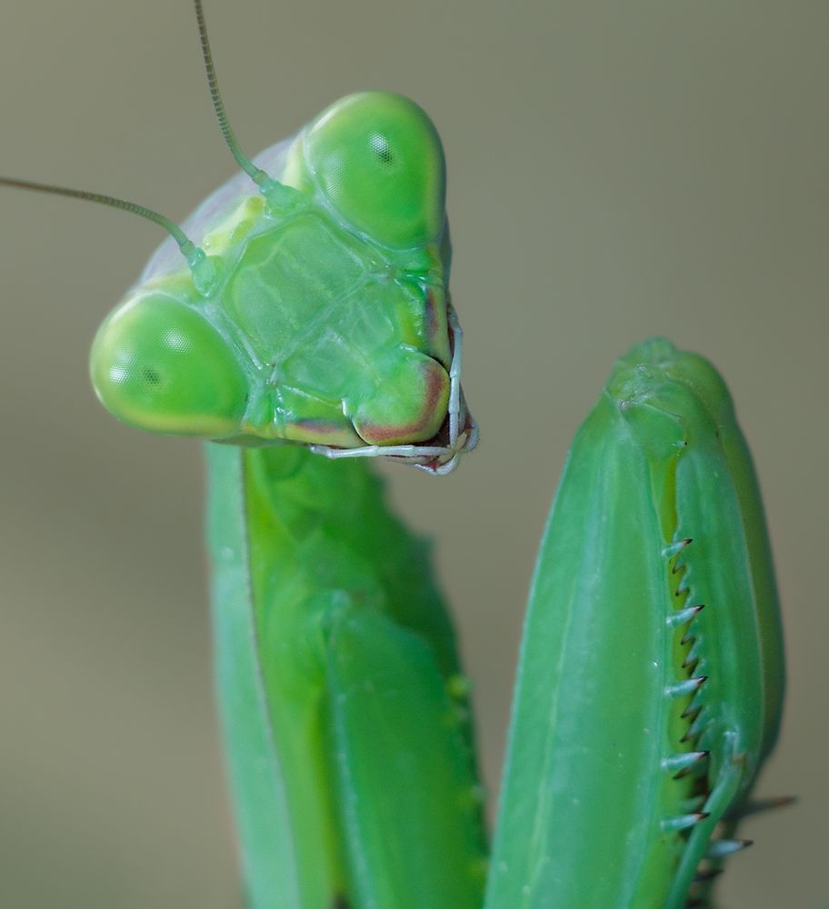 Я ждала и верила