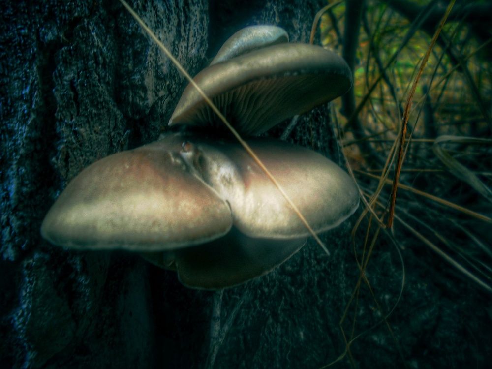 Photo #5747040