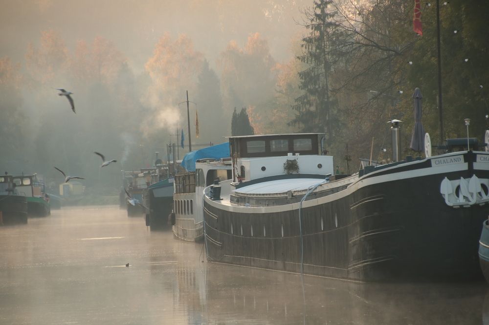 Photograph by François Mastrorilli