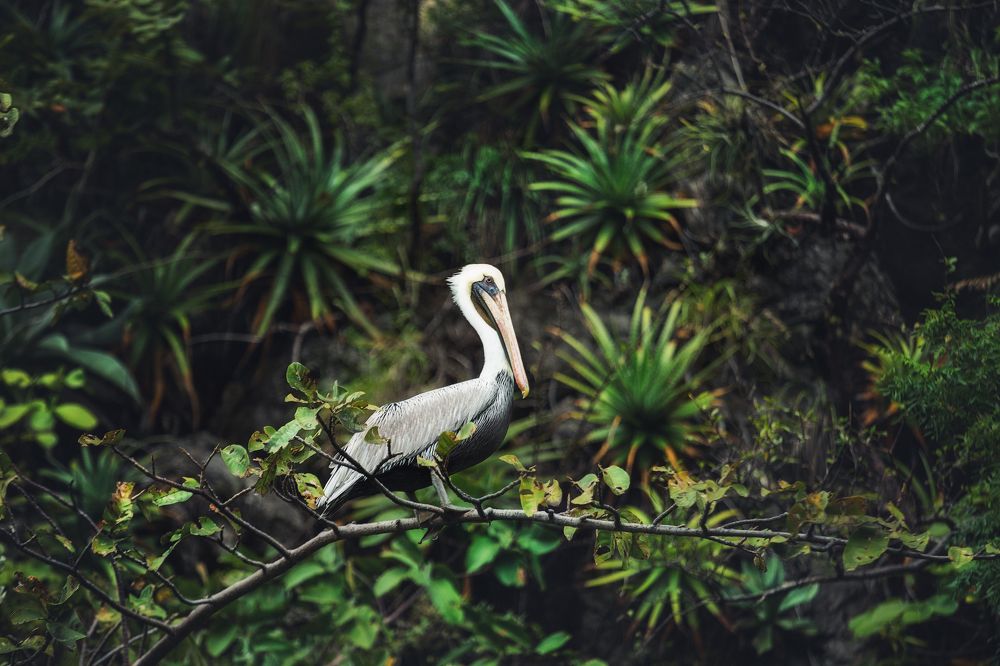 Photograph by Наталия Деркач