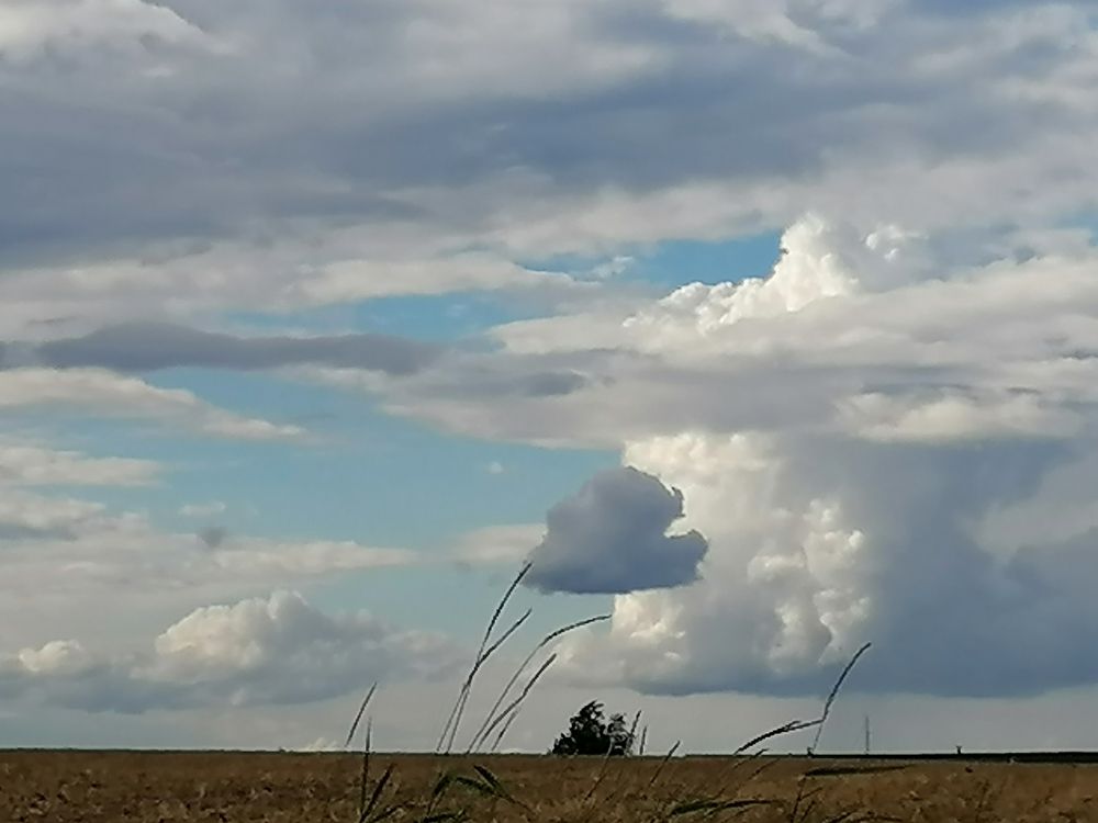 Photograph by François Mastrorilli