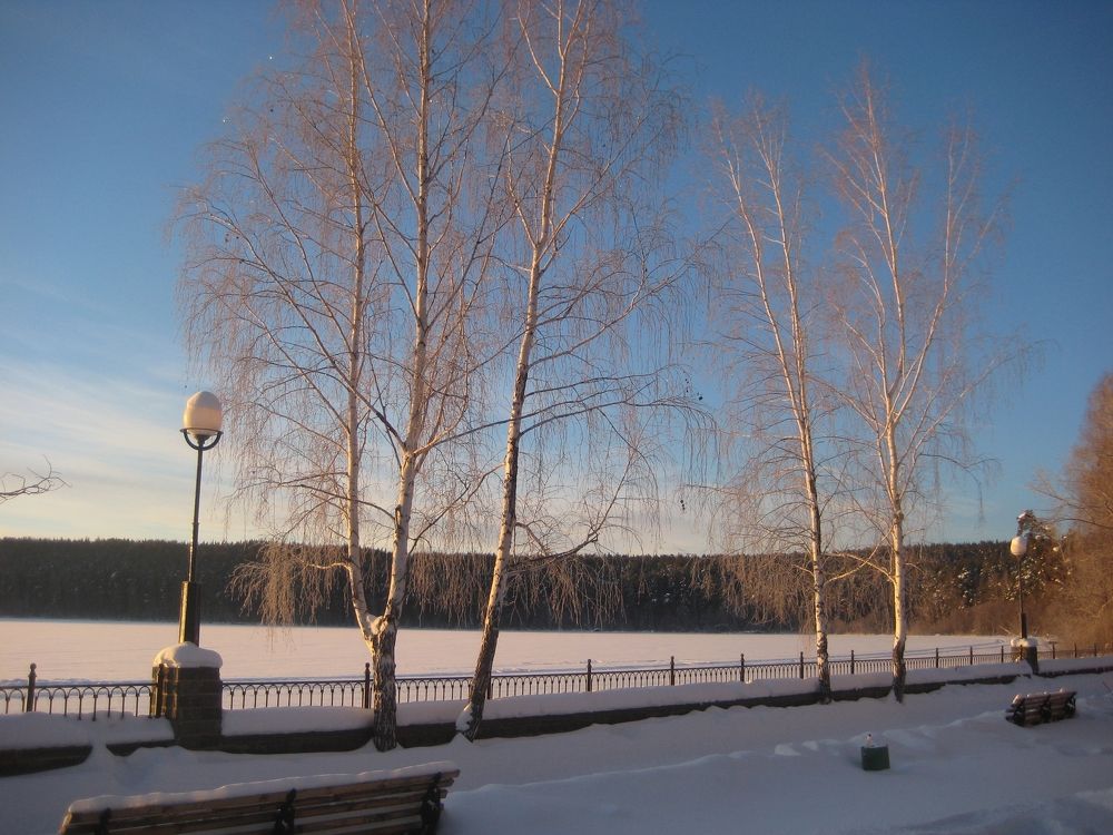 Photo #5747209
