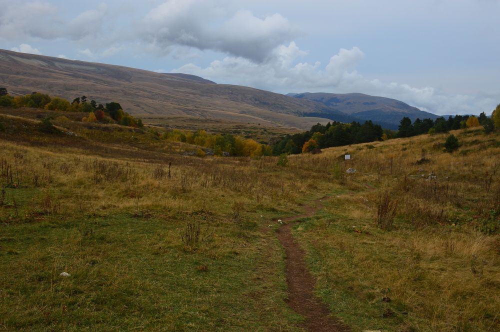 Photograph by Юрий Солодовников