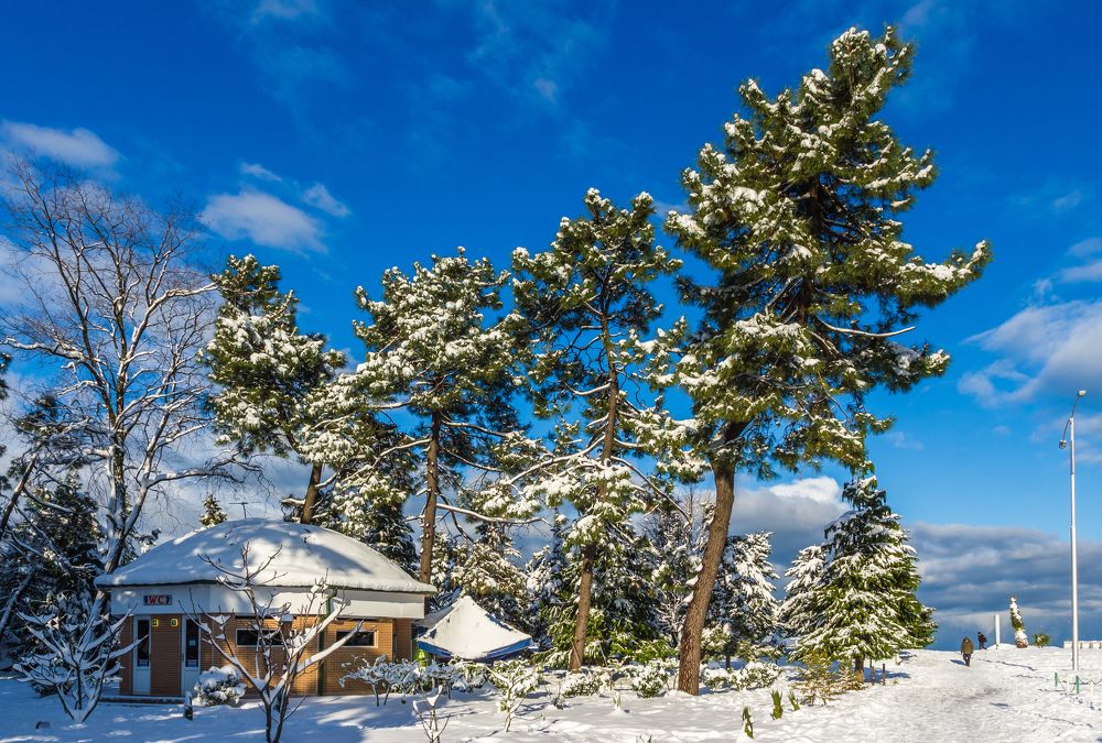 Photograph by Александр Антонов