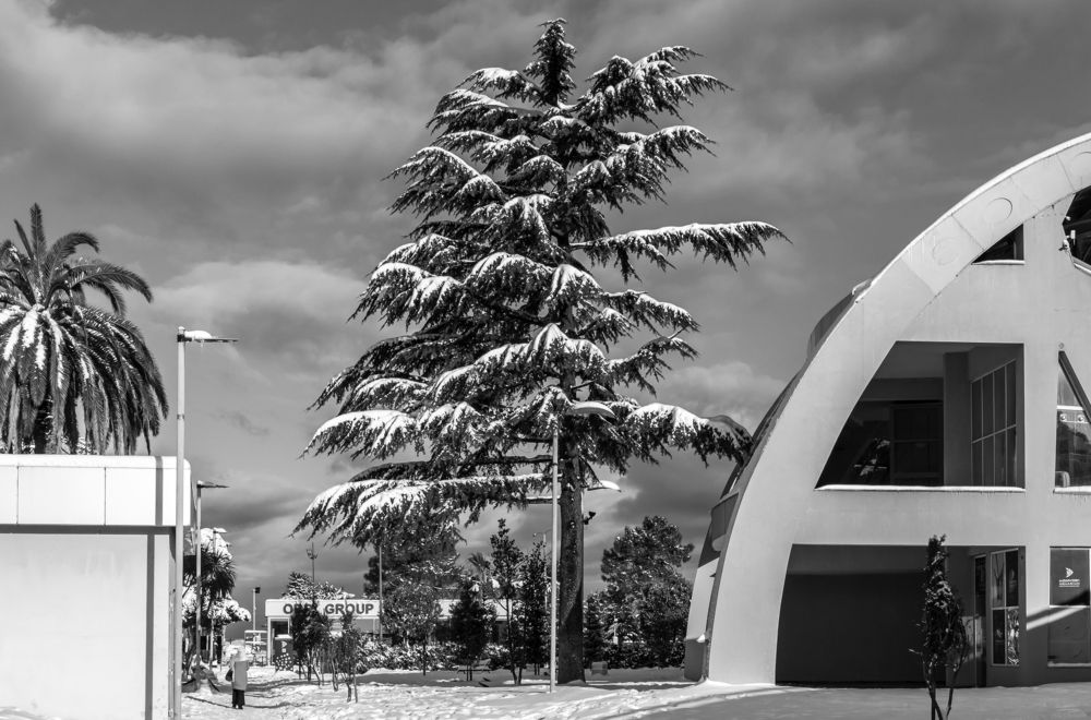 Photograph by Александр Антонов