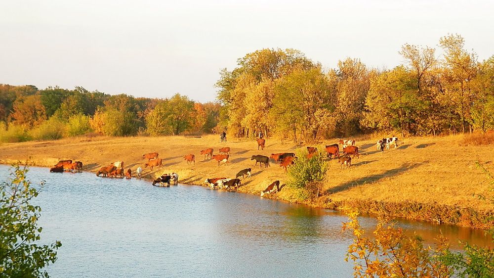 Октябрь уж наступил...