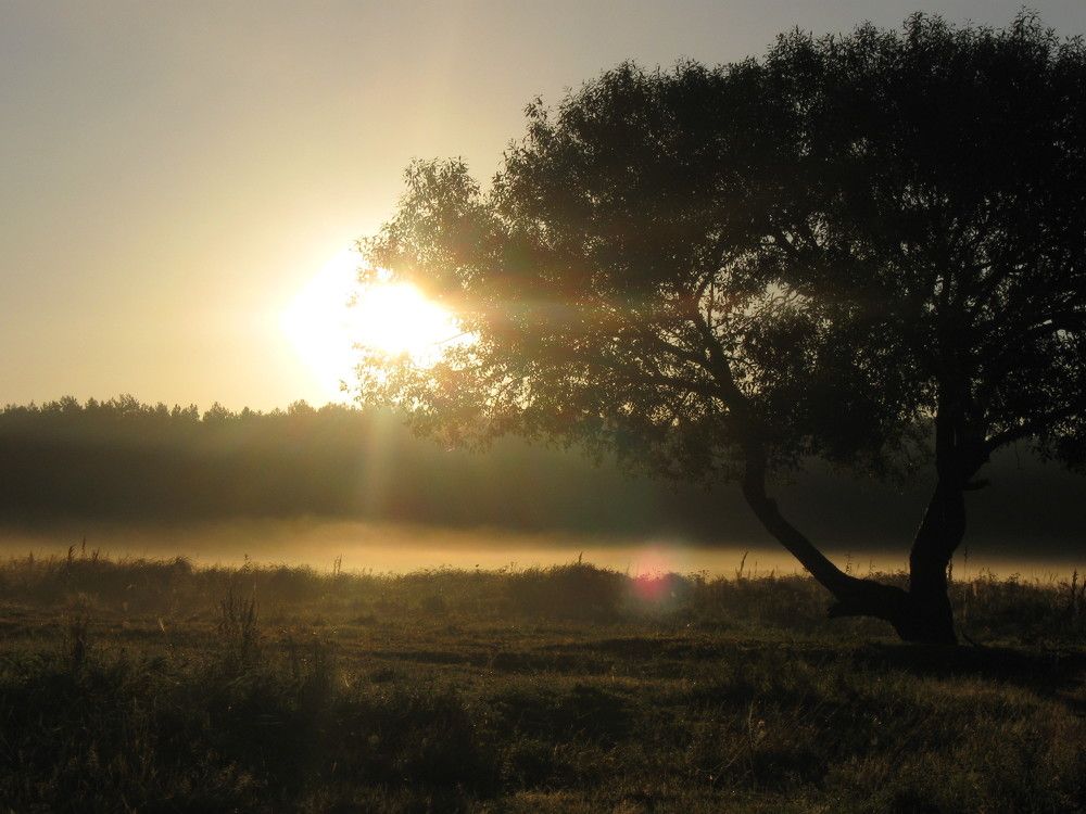 Photo #5747311