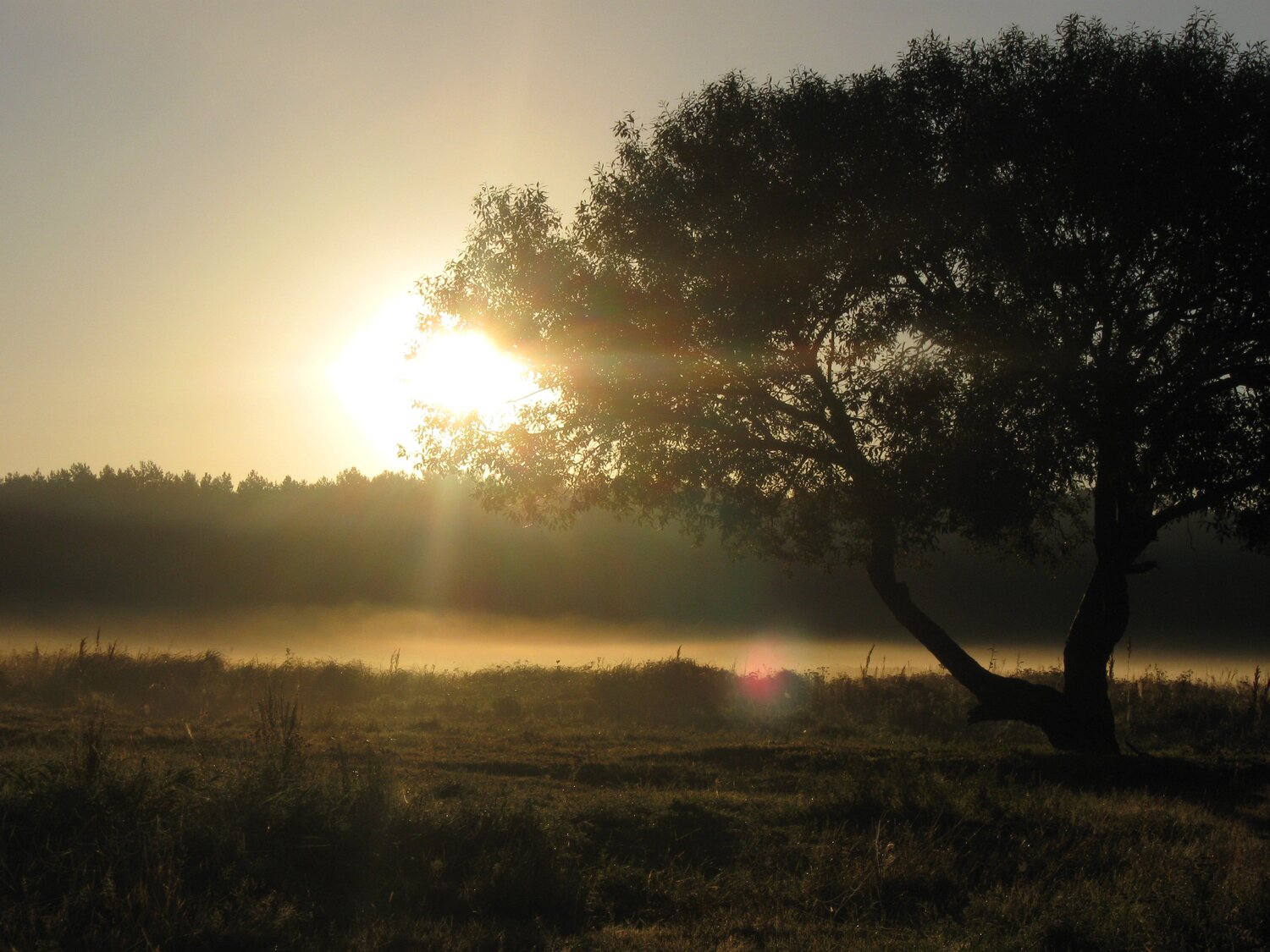Photo #5747311