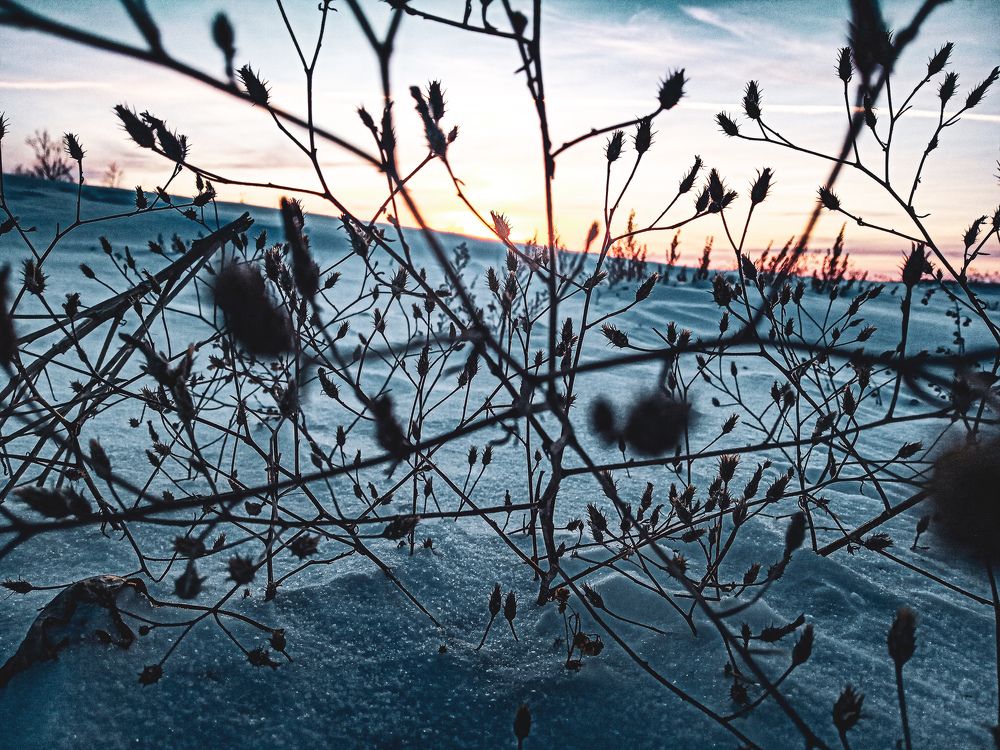 Photograph by Антон Гросс