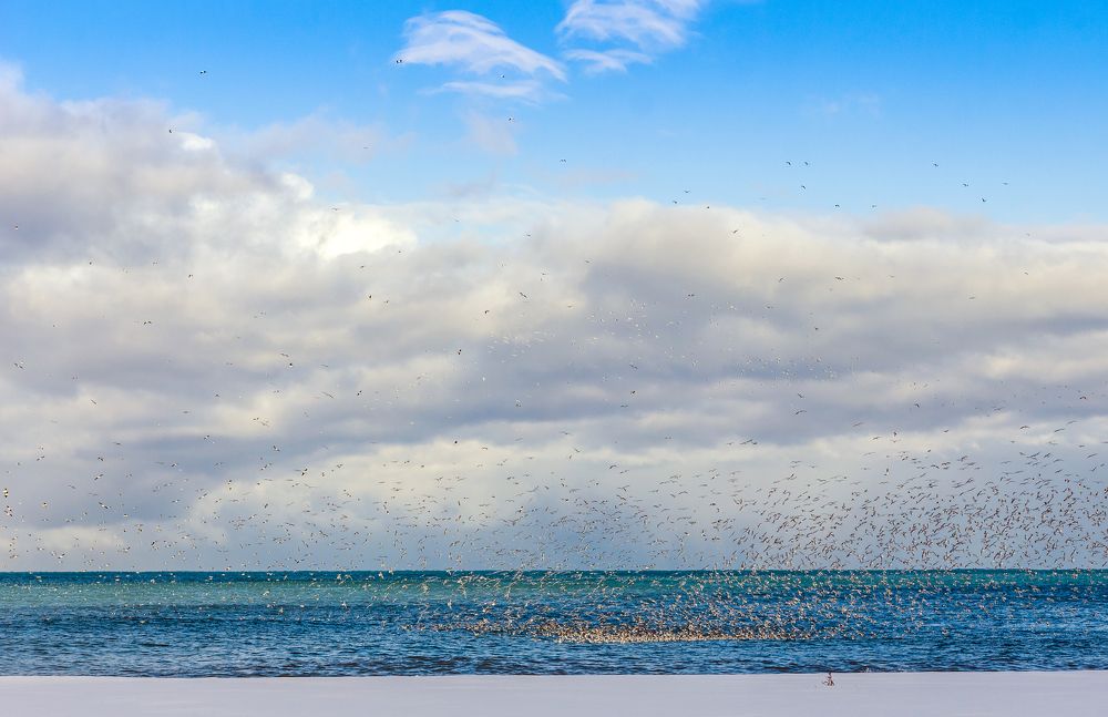 Photograph by Александр Антонов