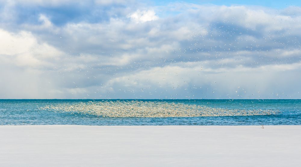 Photograph by Александр Антонов