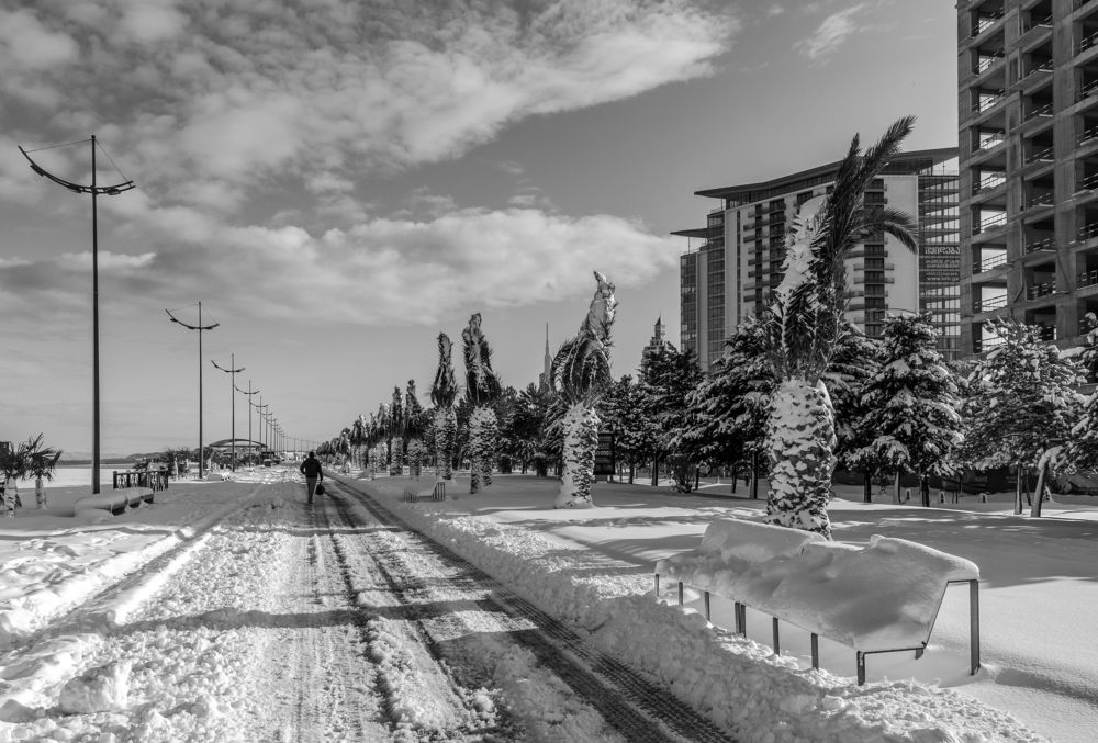 Photograph by Александр Антонов