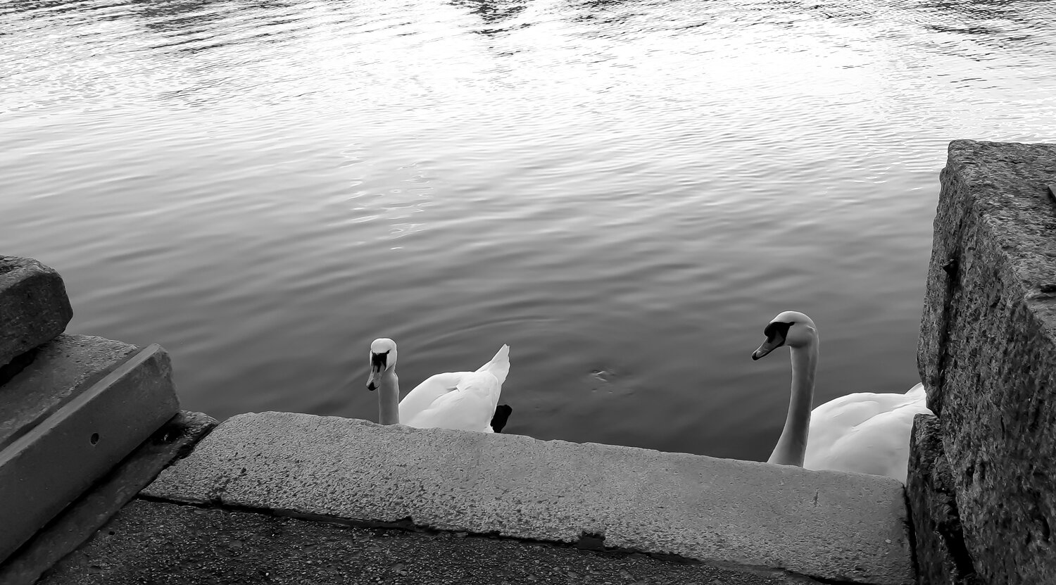 Photo #5747422