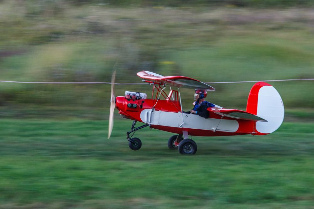 Небесная блоха.