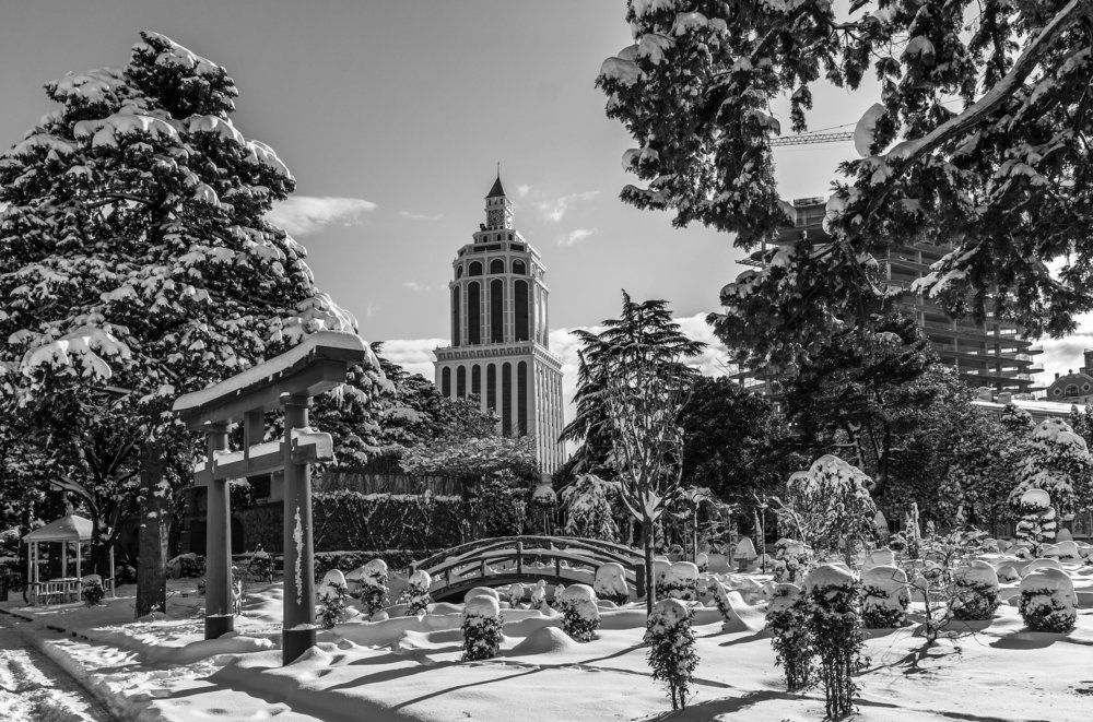 Photograph by Александр Антонов