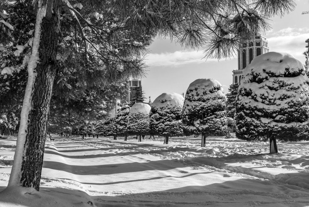 Photograph by Александр Антонов