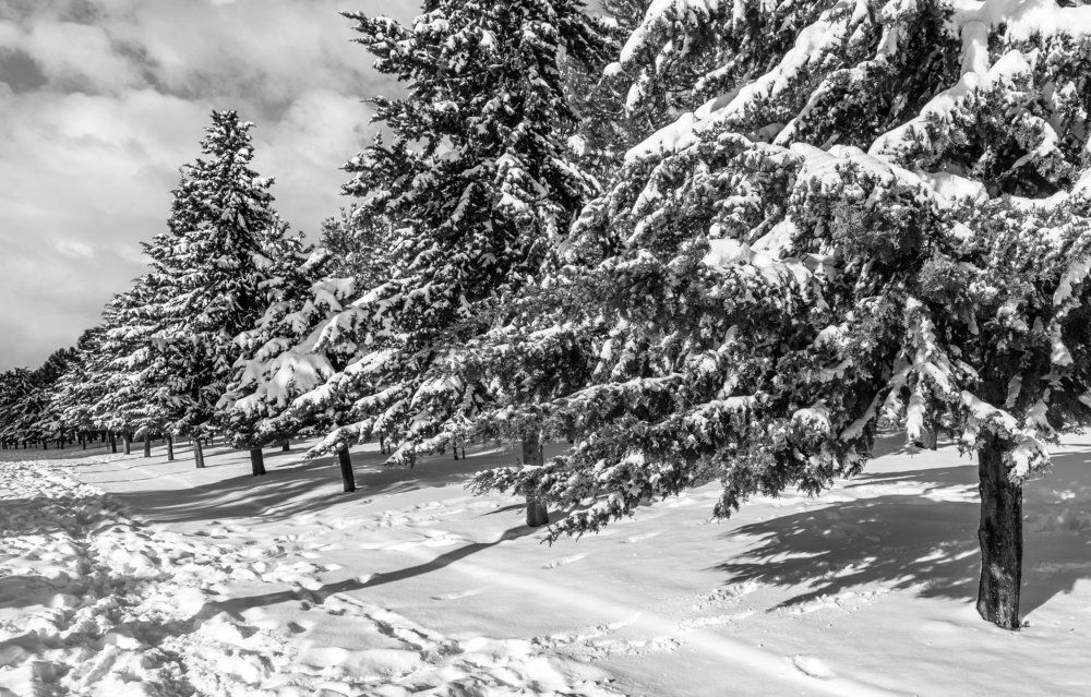 Photograph by Александр Антонов