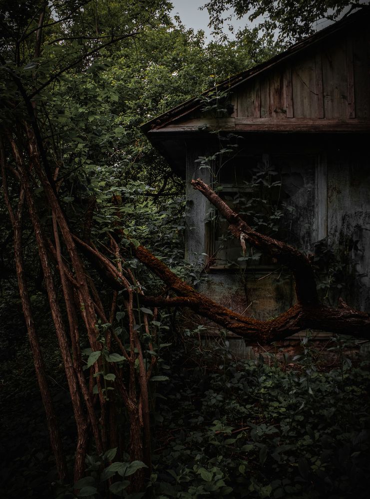 Фотография автора Igor Lypnytskyi