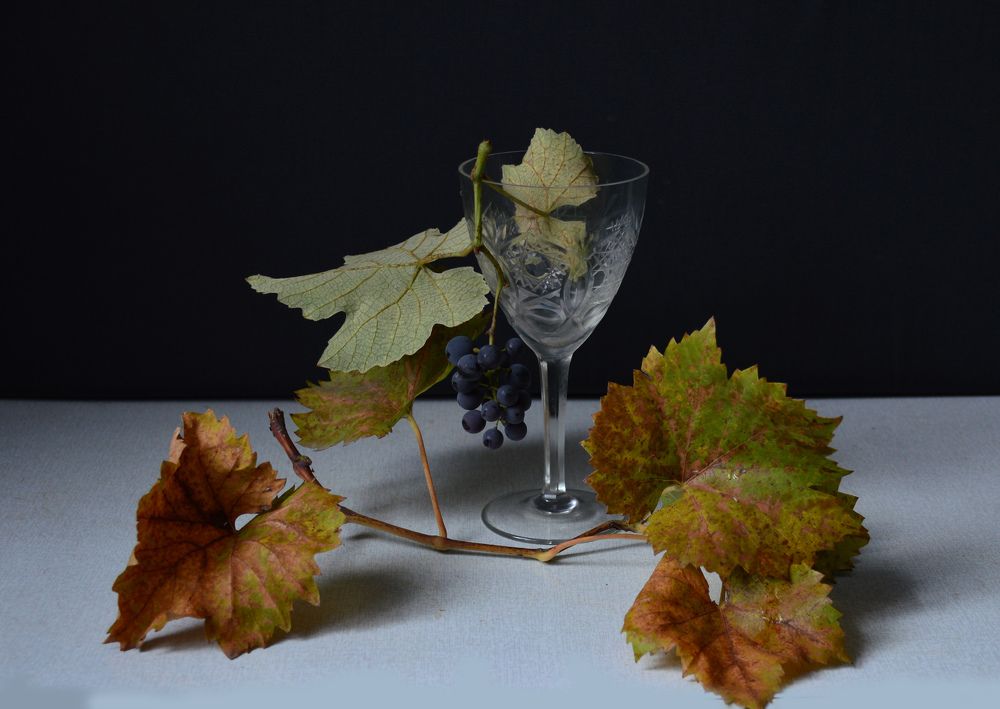 Photograph by Юрий Солодовников