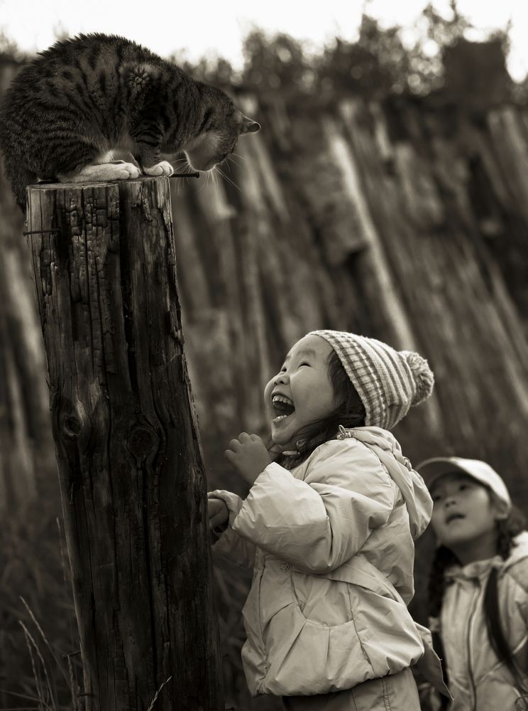 Неожиданная встреча с любимцем