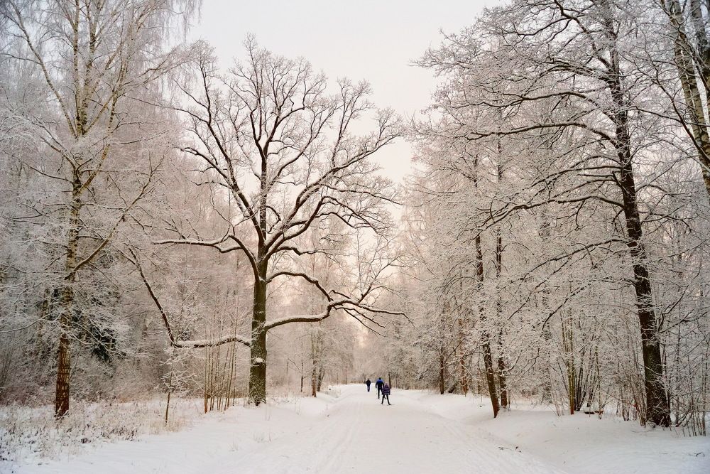 Photograph by Максим Мицун